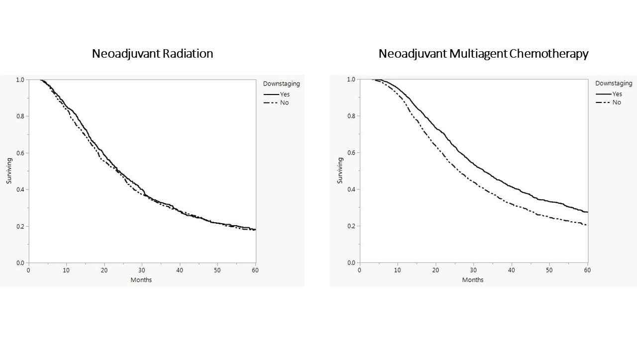 56.09 Neoadjuvant Multiagent Chemotherapy versus Neoadjuvant Radiation ...