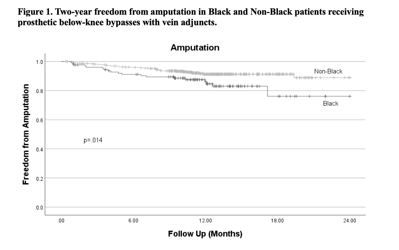 18.01 Racial Disparities in Bypass Outcomes with Distal Vein Adjuncts ...